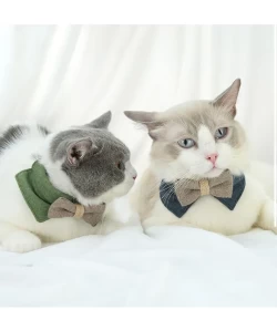 طوق على شكل فيونكة