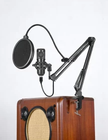 حزمة ميكروفون ، مجموعة ميكروفون مع بطاقة صوت حية ، ميكروفون قابل للتعديل لتسجيل الاستوديو والبث